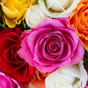 Meet your Posher, Arvinder